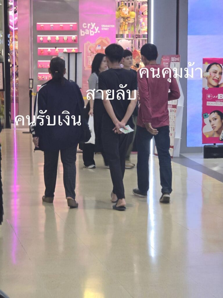 สืบภาค 1 ทลายรังม้าไทย-เวียดนาม ตุ๋นเหยื่อ 22 คดี สูญกว่า 19 ล้าน