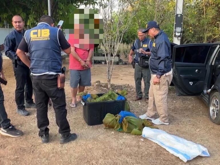 ปทส. สกัดระทึก แก๊งค้าสัตว์ป่าข้ามชาติ ยึด “ลิงแสม” 37 ชีวิต ซุกรถเก๋งเตรียมส่งออก
