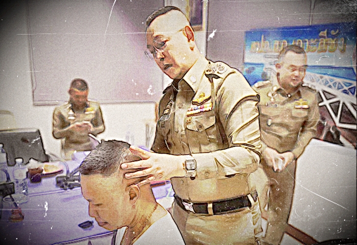 สะบัดแส้ปัดฝุ่น